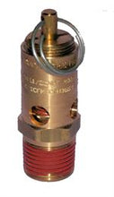 Load image into Gallery viewer, Castair 1/2" NPT 50-250PSI ASME Safety Relief Valve SF50
